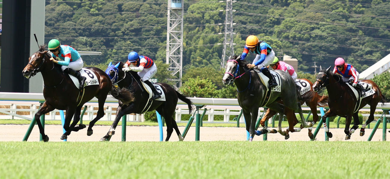 小倉5R　シークレットキー（左）は2歳新馬戦を制す（撮影・冨田成美）
