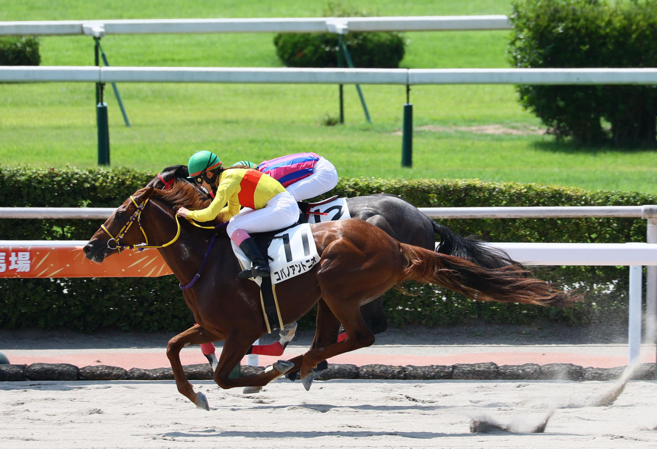 小倉6R新馬戦を制したコパノアントニオと永島まなみ騎手（撮影・冨田成美）