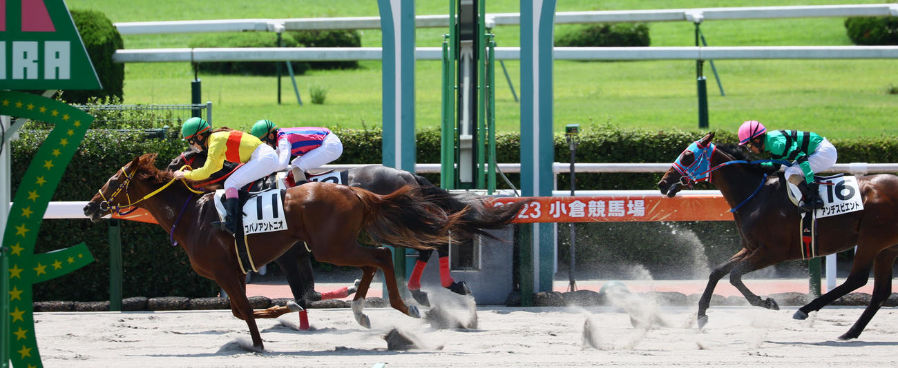 小倉6R新馬戦を制したコパノアントニオと永島まなみ騎手（撮影・冨田成美）