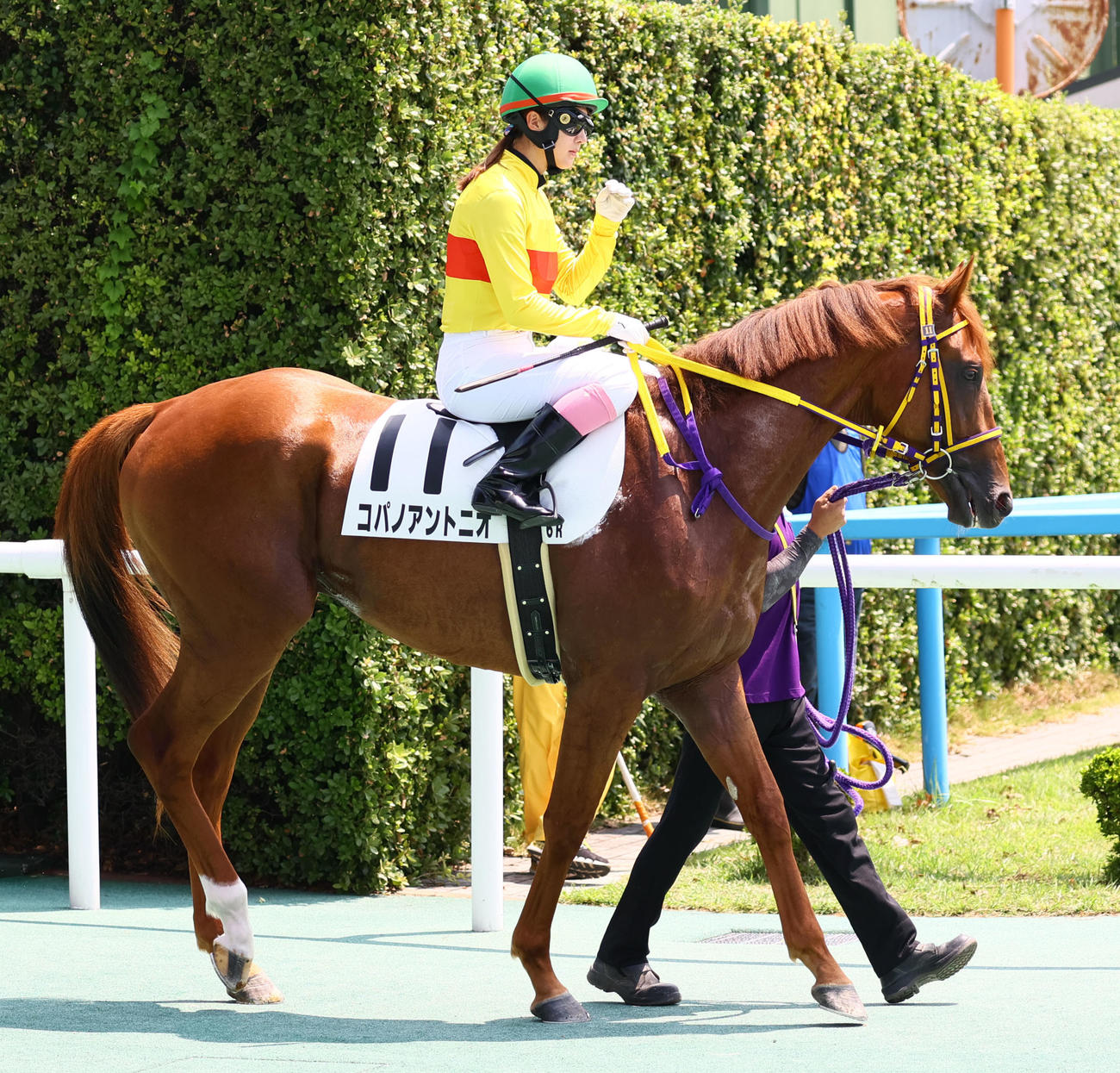 小倉6R新馬戦を制したコパノアントニオと永島まなみ騎手（撮影・冨田成美）
