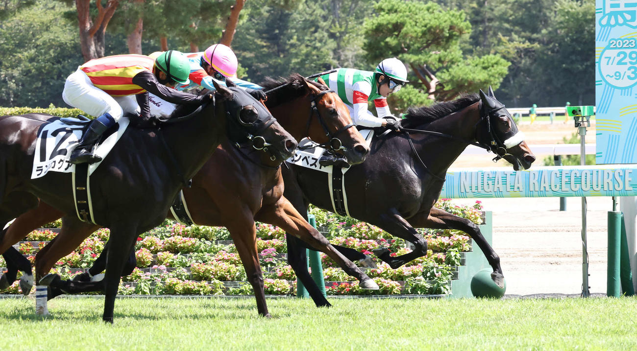 新潟6R、3歳未勝利戦を制したテンペストと戸崎騎手（奥）（撮影・丹羽敏通）