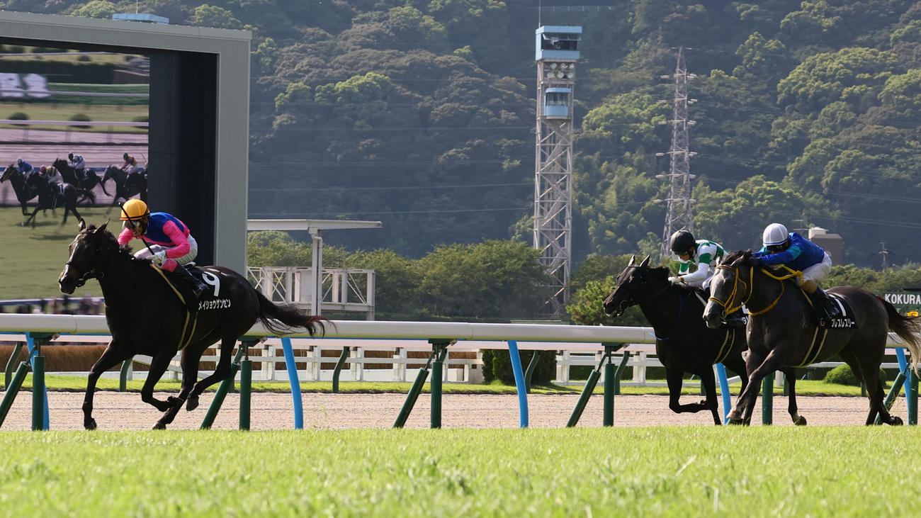 11R　佐世保S 1着9番メイショウゲンセンと藤岡騎手は佐世保Sを制す（撮影・冨田成美）