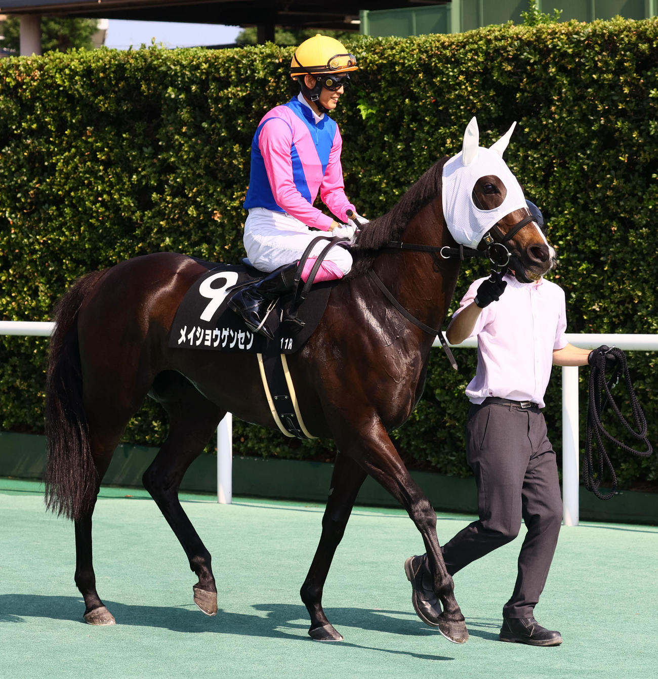 11R　佐世保S 1着9番メイショウゲンセン（撮影・冨田成美）