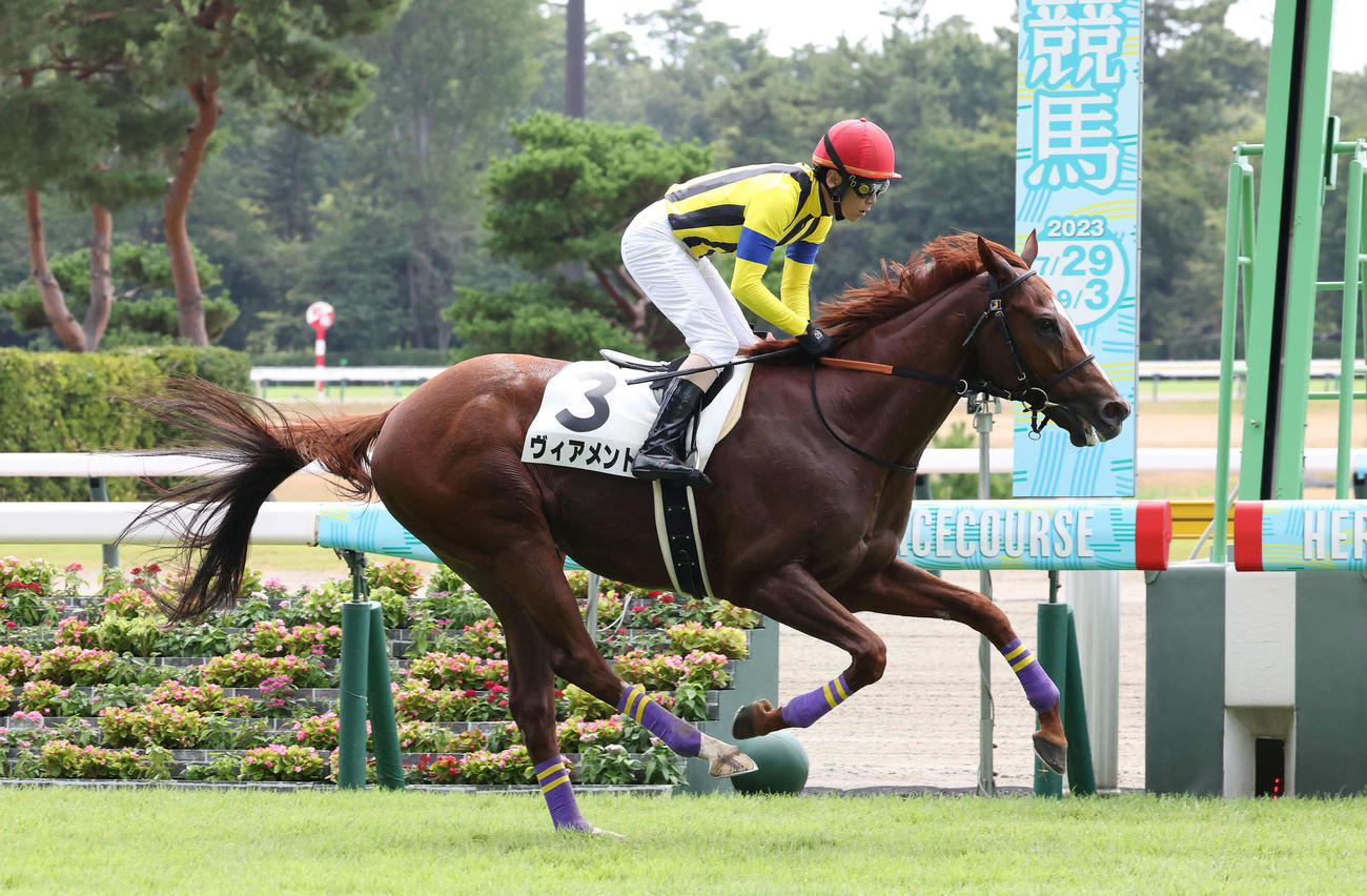 新潟1R、障害3歳上未勝利戦を制したヴィアメントと五十嵐騎手（撮影・丹羽敏通）