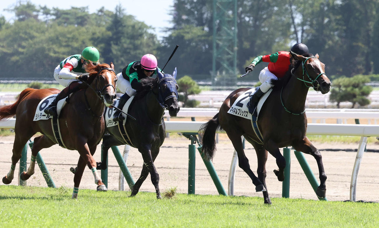 新潟2R、2歳未勝利戦を制したマイネルブリックスと津村騎手（右）（撮影・丹羽敏通）