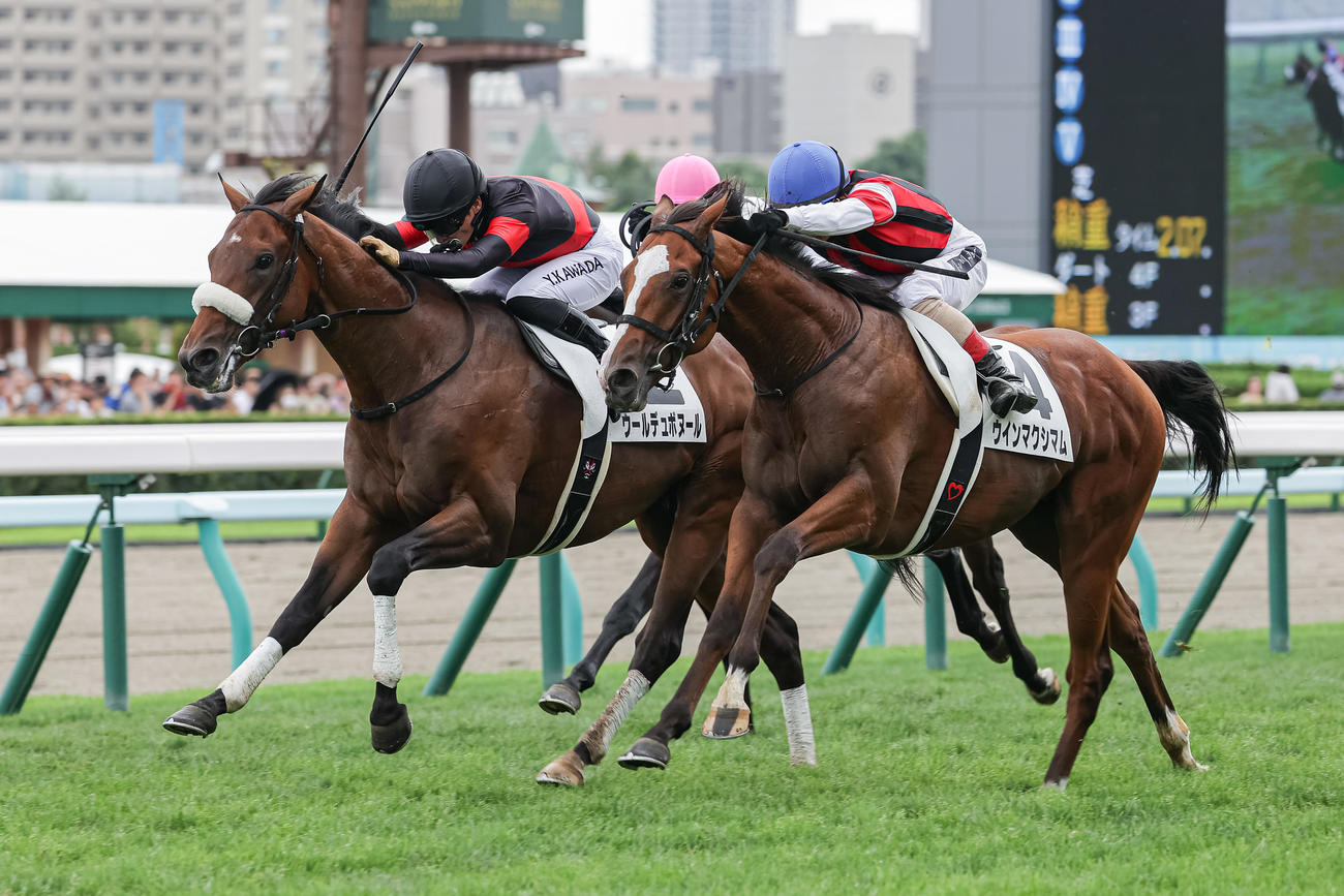 札幌5R、デビュー戦を制したウールデュボヌールと川田騎手（左）（撮影・村野早祐）