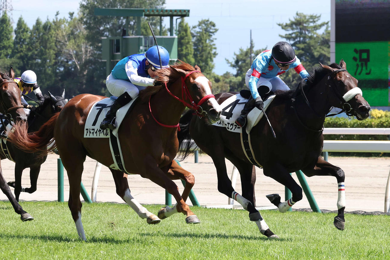 新潟5R、デビュー戦に勝利したアドマイヤベルと菱田騎手（左）（撮影・丹羽敏通）