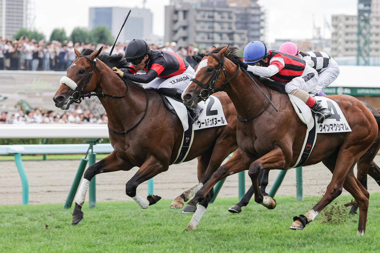 札幌5R、デビュー戦を制したウールデュボヌールと川田騎手（左）（撮影・村野早祐）
