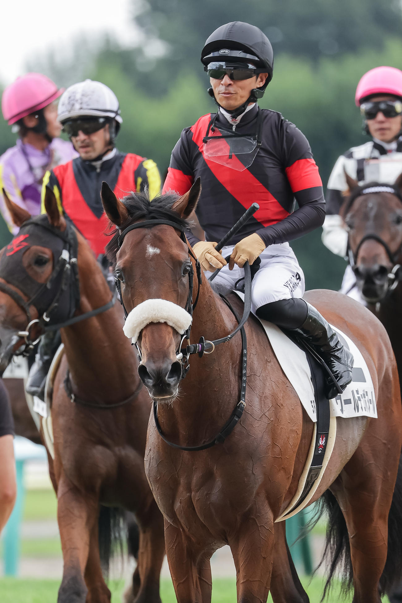 札幌5R、デビュー戦を制したウールデュボヌールと川田騎手（撮影・村野早祐）