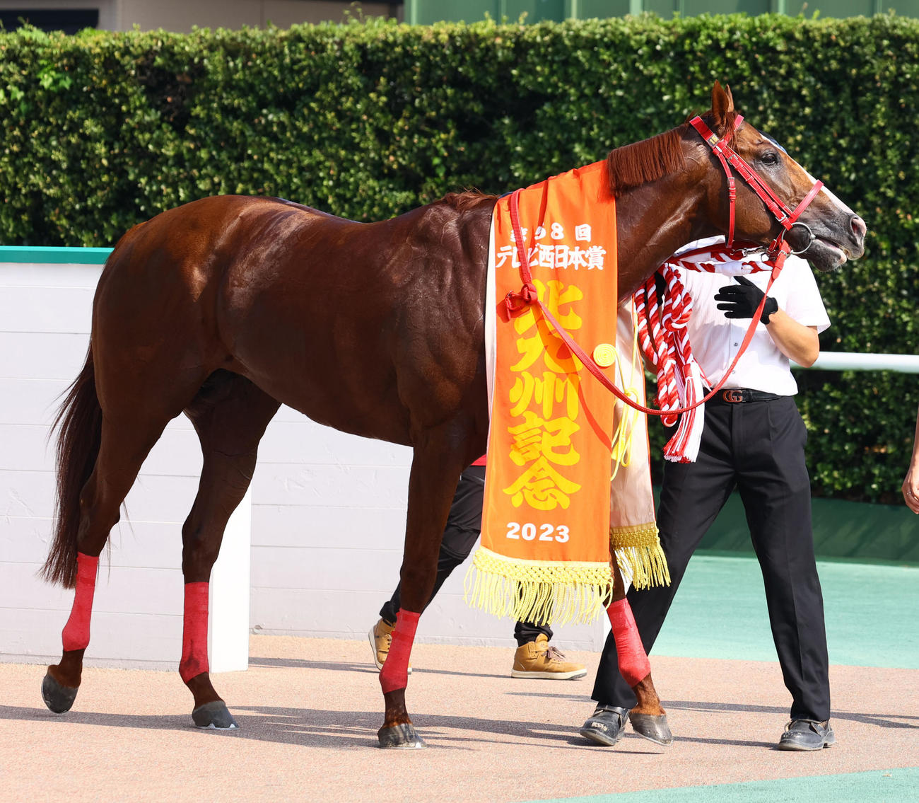 北九州記念を制したジャスパークローネ（撮影・冨田成美）