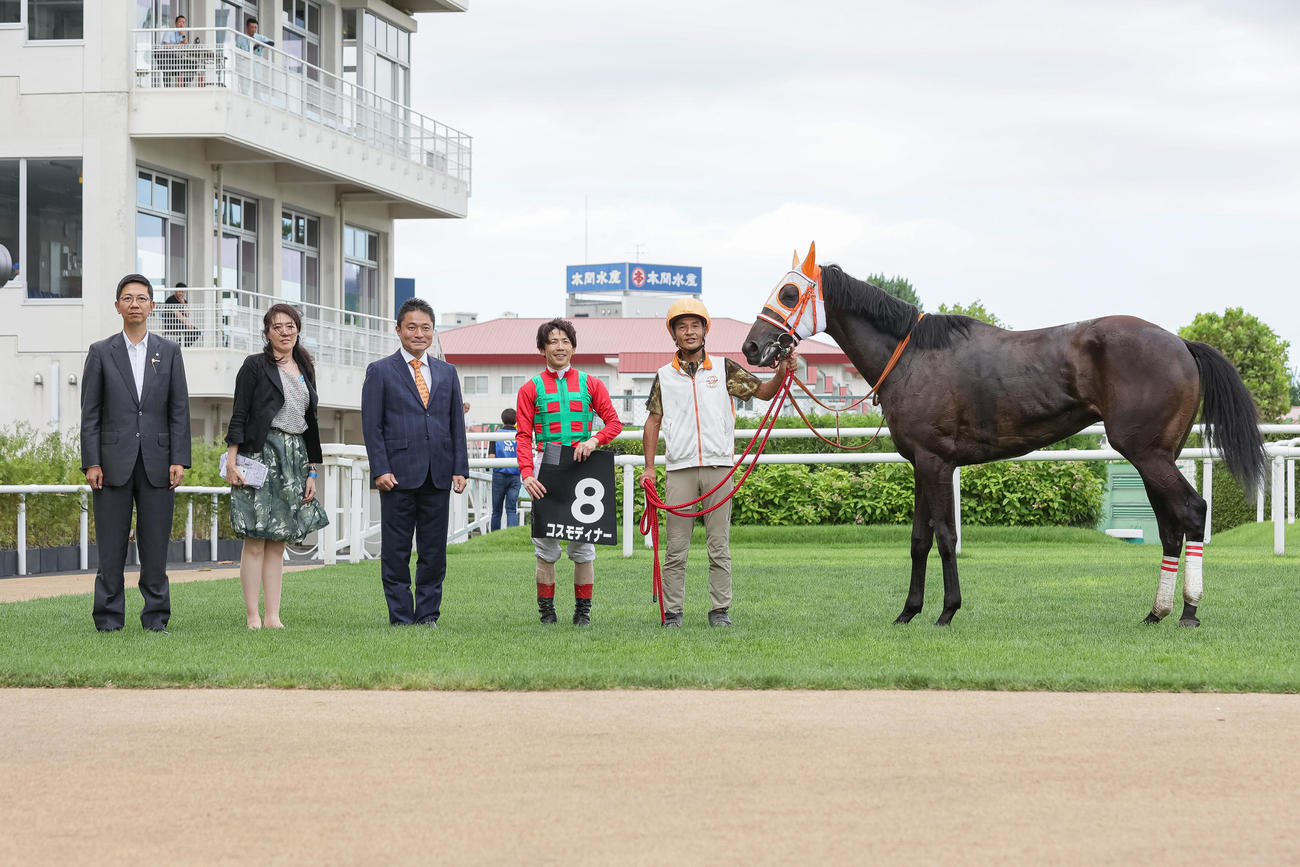 クローバー賞を制したコスモディナー（撮影・村野早祐）