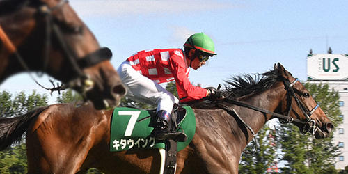 新潟2歳Sを制したキタウイング（右）（撮影・柴田隆二）＝2022年8月28日、新潟競馬場