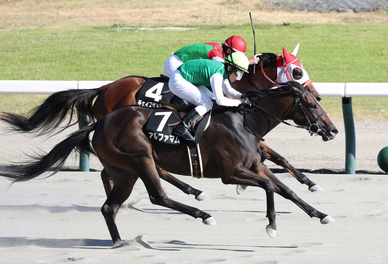 NST賞を制したアルファマムと丸田騎手（撮影・丹羽敏通）