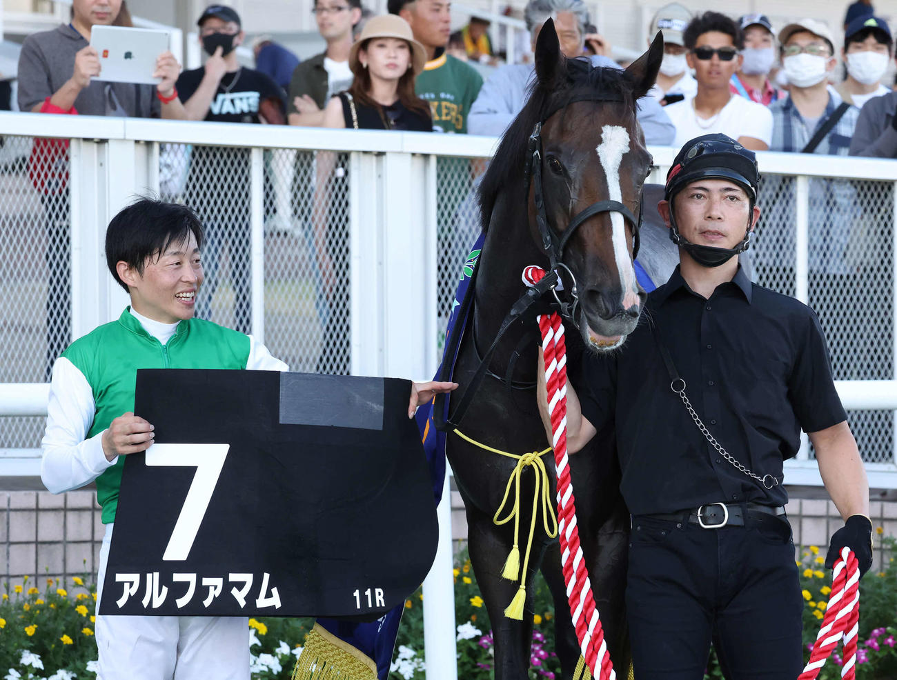 新潟11R、NST賞を制したアルファマムの口取りをする丸田騎手（撮影・丹羽敏通）