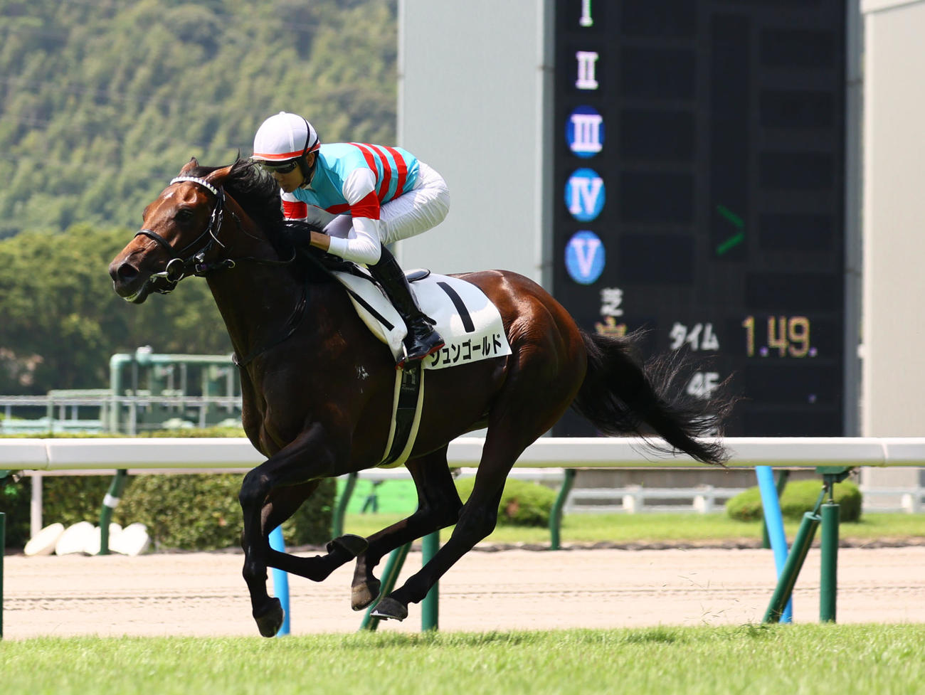 小倉5R新馬戦を制したジュンゴールドと坂井騎手（撮影・冨田成美）