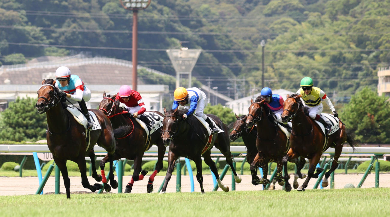 ジュンゴールドと坂井騎手は逃げ切る（撮影・冨田成美）