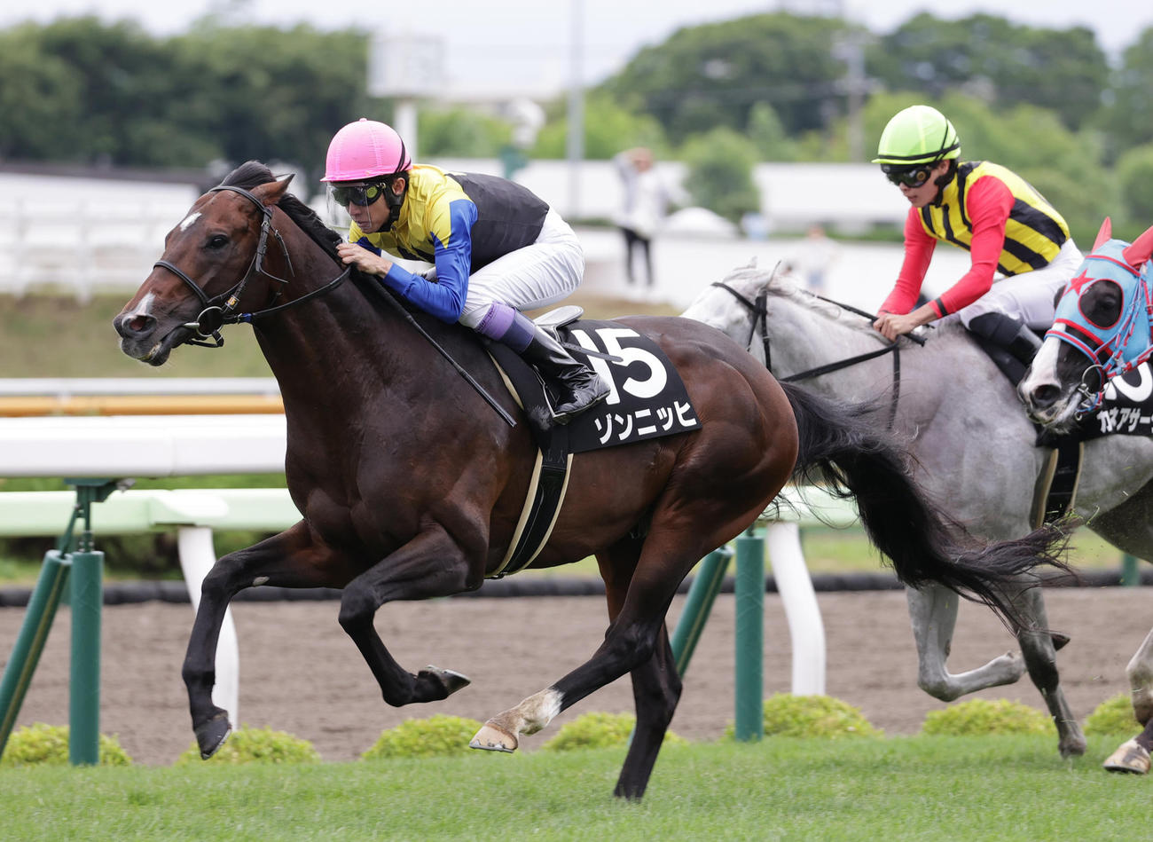 6月24日青函Sを制したゾンニッヒと武豊騎手