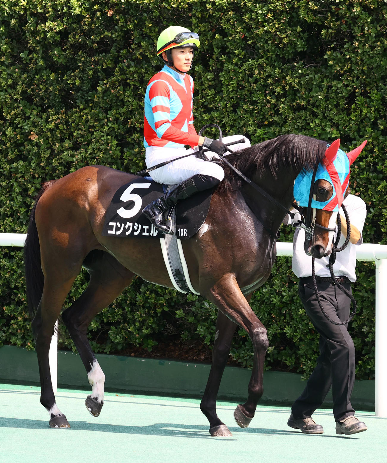 不知火特別1着のコンクシェル（2023年8月19日撮影）