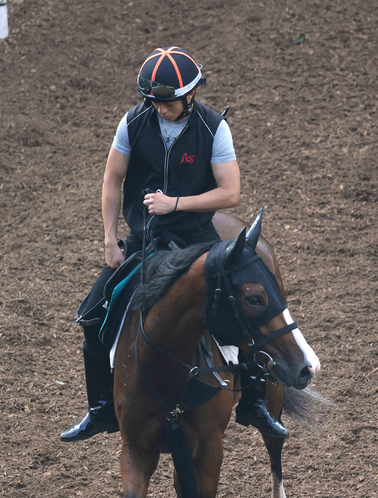 逍遥馬道で運動するヒヒーン（撮影・白石智彦）