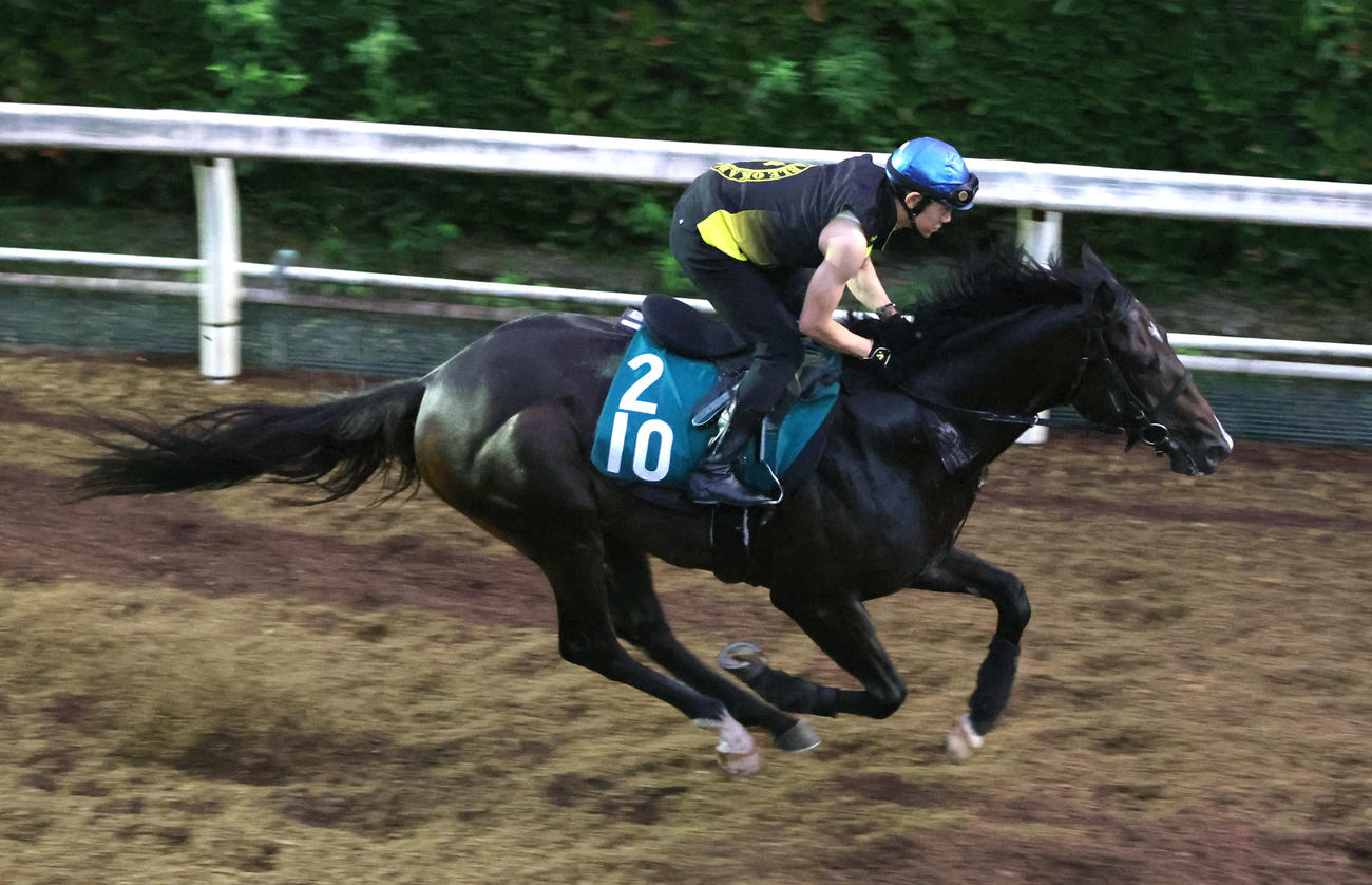 菱田騎手を背に坂路を併せ馬で追い切るエンヤラヴフェイス（撮影・白石智彦）