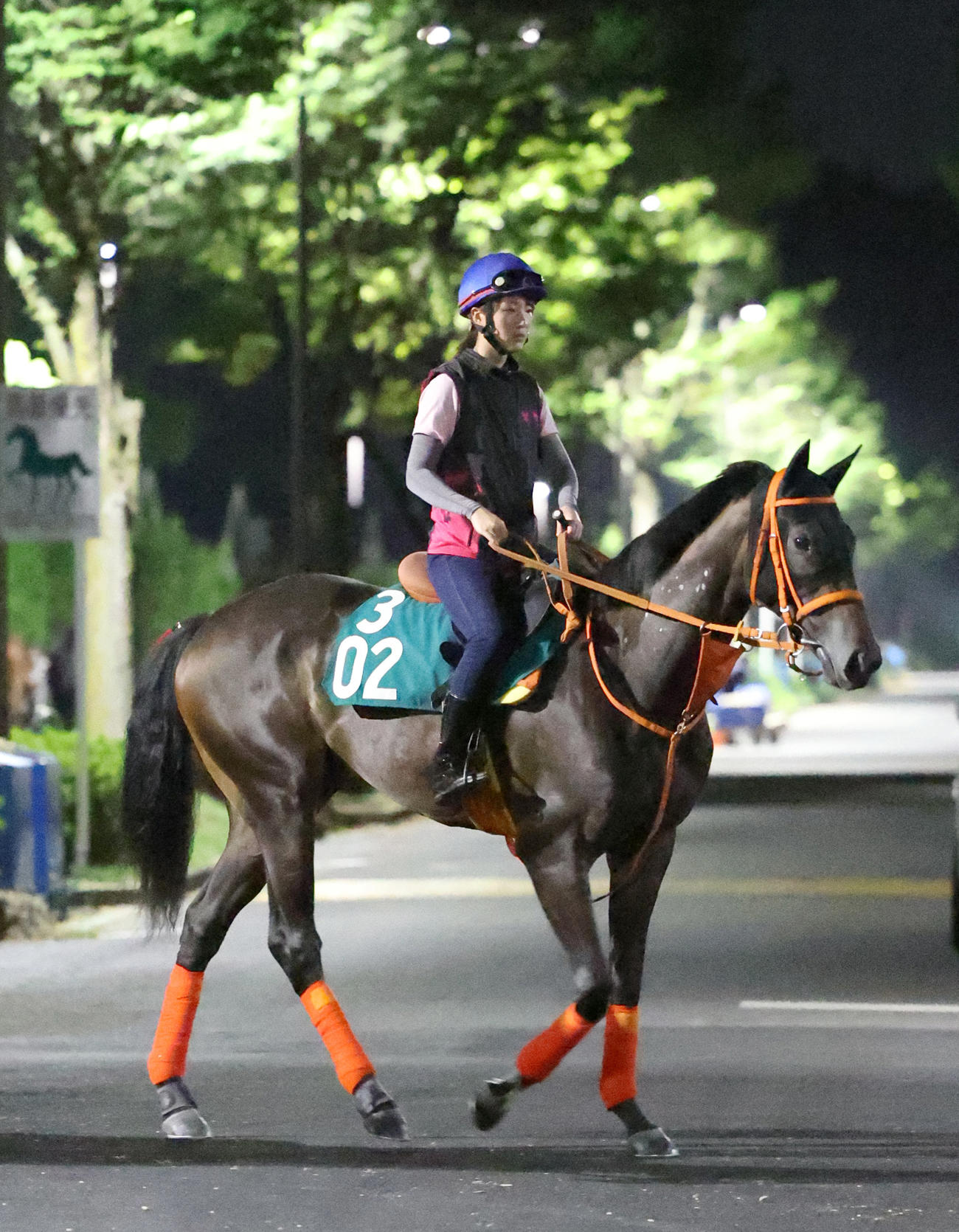 永島まなみ騎手を背に追い切りへ向かうルクスノア