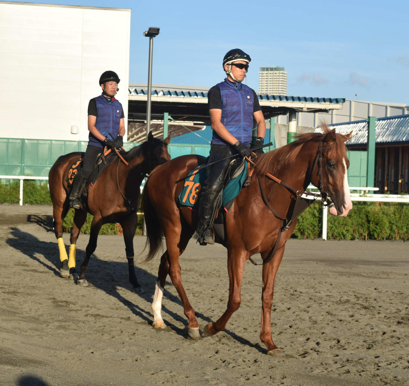 調教へ向かうヴァルドルチャ（右）（23年8月22日撮影）