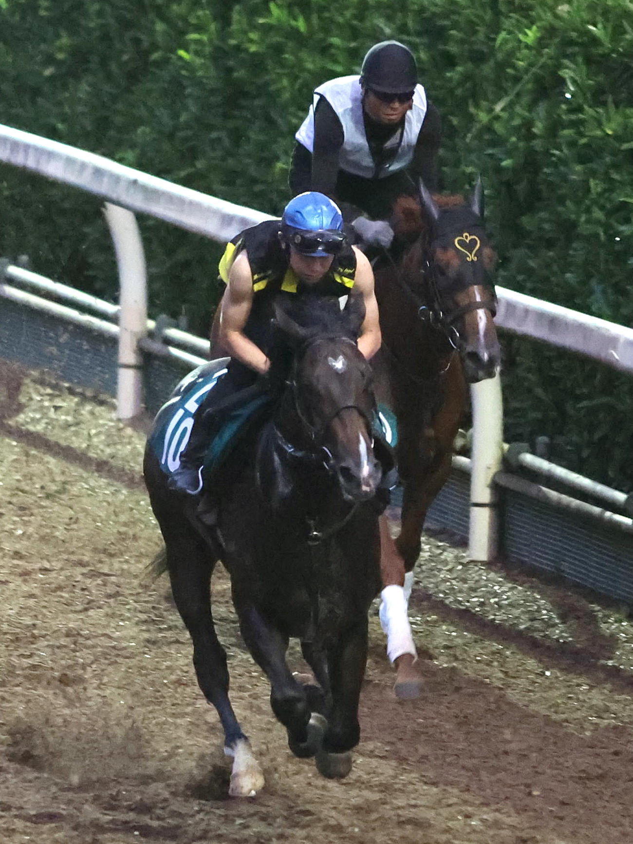 23日、菱田騎手を背に坂路をワーフデール（右）と併せ馬で追い切るエンヤラヴフェイス
