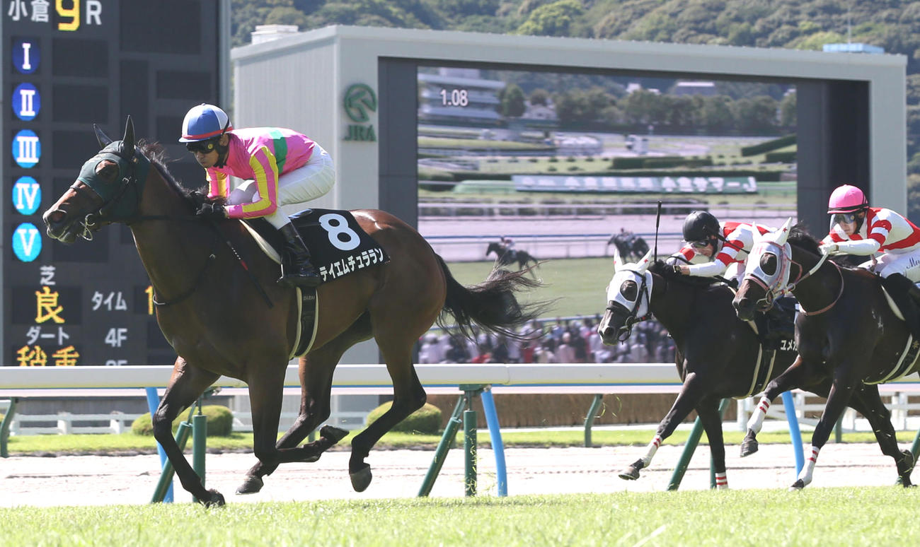 逃げ切ってひまわり賞を快勝したテイエムチュラランと太宰騎手（撮影・冨田成美）