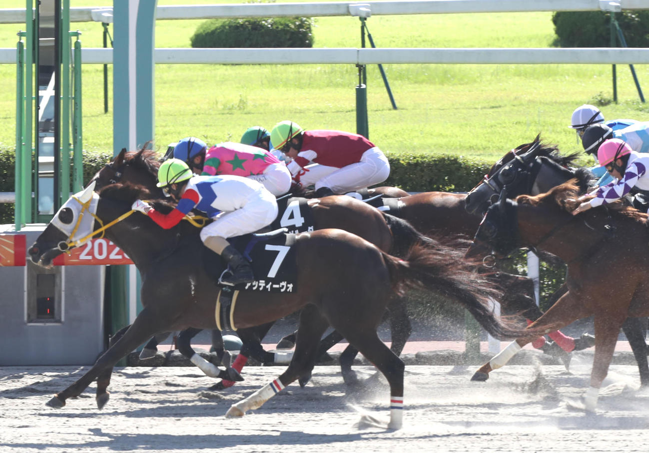 釜山Sを制したアッティーヴォと秋山真騎手（撮影・冨田成美）