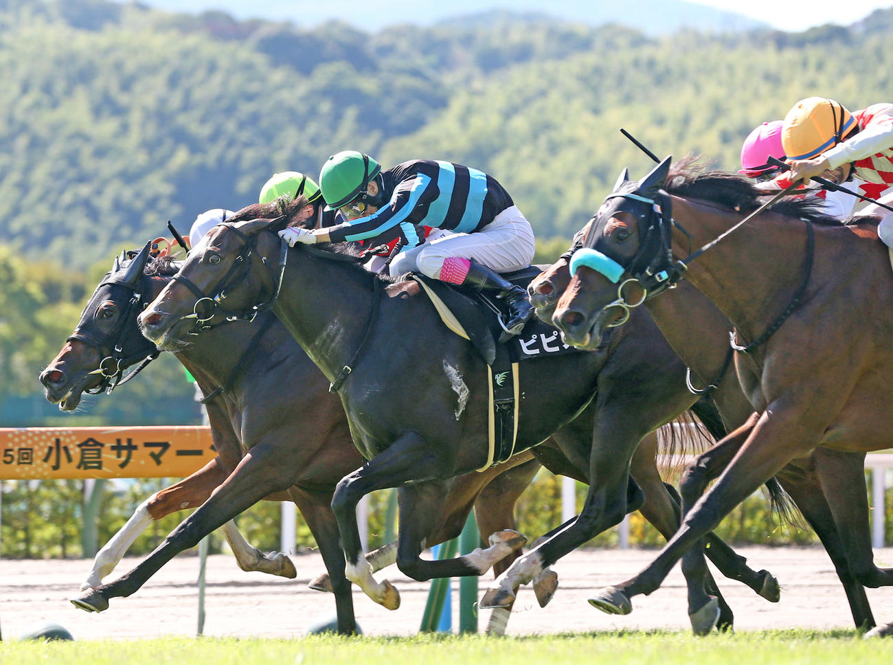 西海賞を制したピピオラと藤岡康騎手（中央）（撮影・冨田成美）