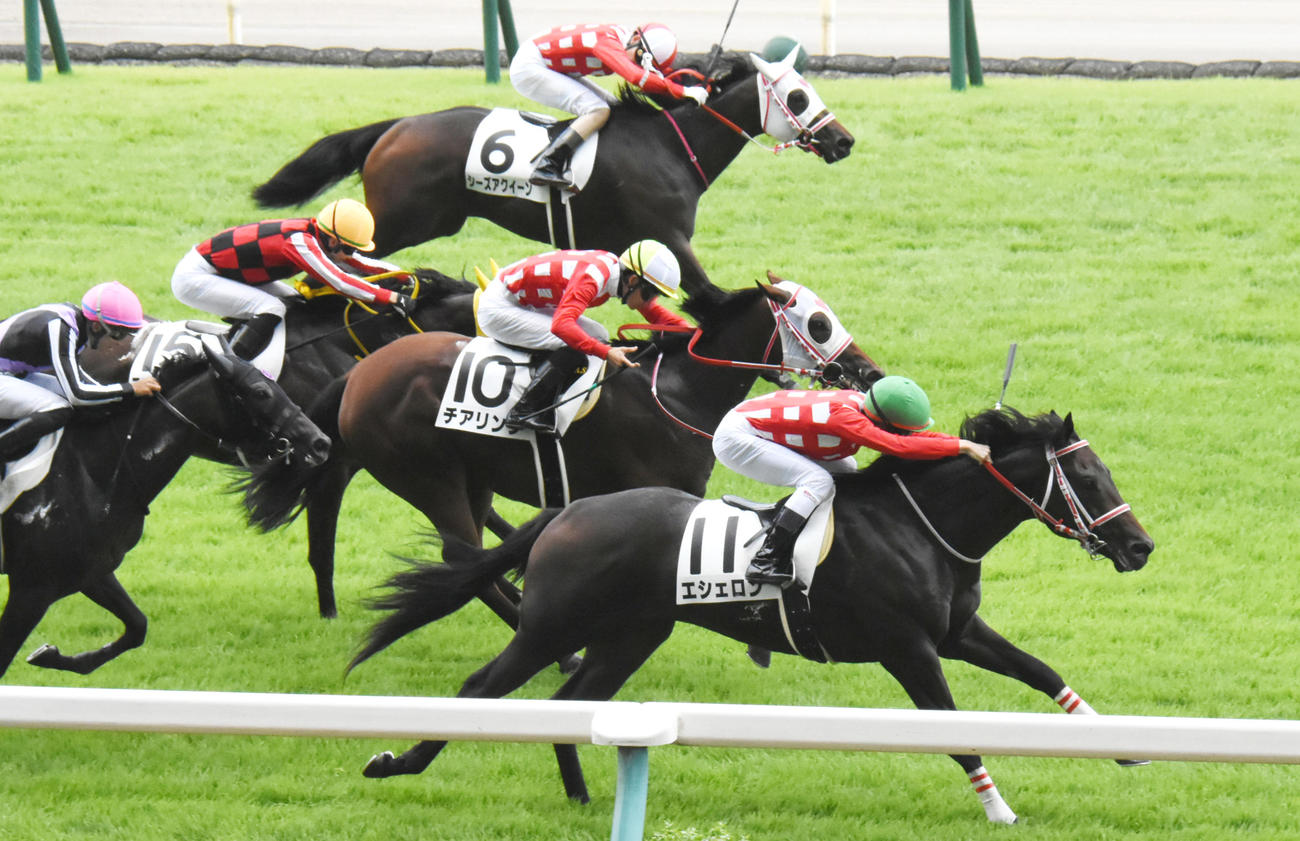 21年8月の新潟2歳未勝利戦で10頭出走させたミルファームは1、2着を独占