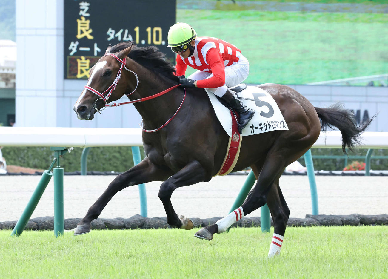 7月16日、福島1R、2歳未勝利戦を制したオーキッドロマンス