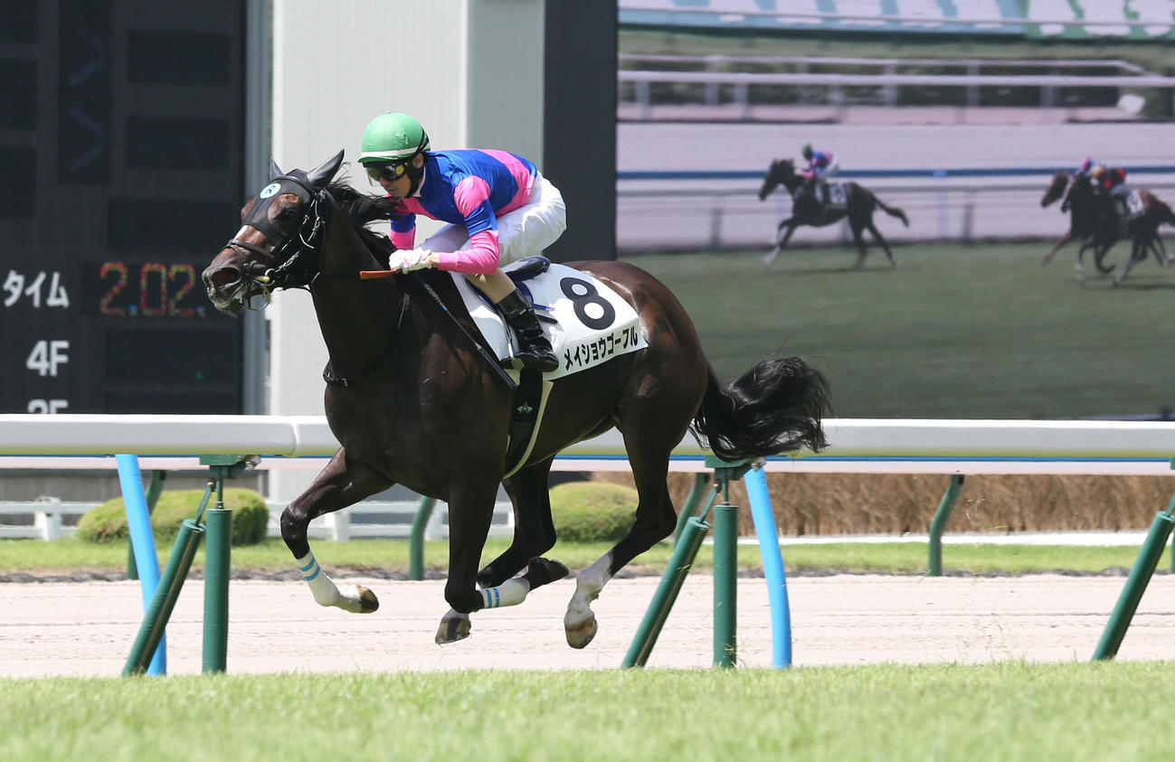 直線で伸びたメイショウゴーフルが新馬戦を制した（撮影・冨田成美）