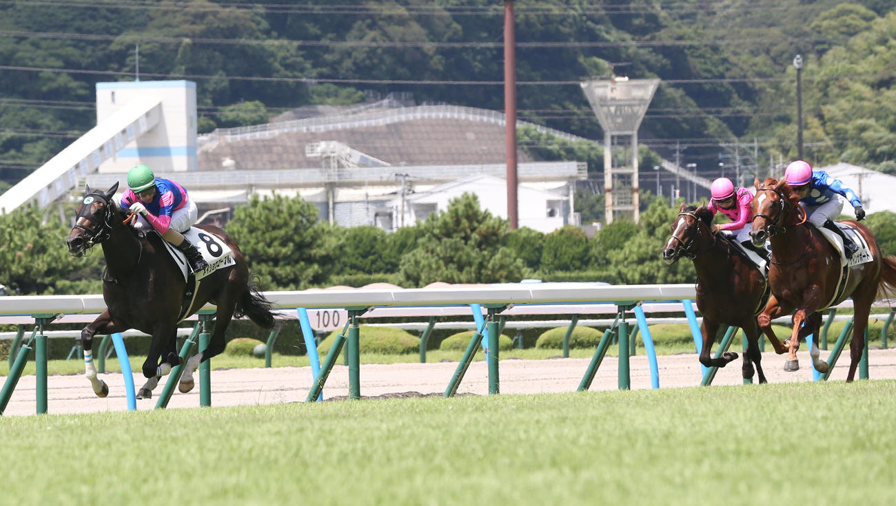 新馬戦5R、8番メイショウゴーフル（左）と秋山真騎手は快勝する（撮影・冨田成美）