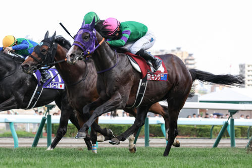 WASJ第1戦を制したドーバーホークとキング騎手（撮影・村野早祐）