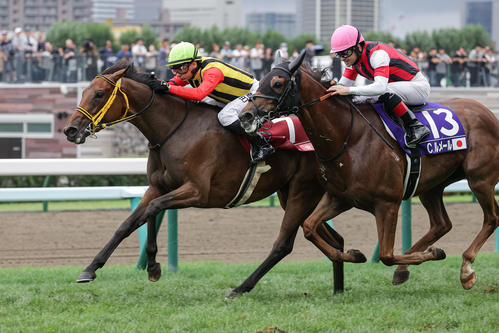WASJ第4戦を制したフェステスバントとA・バデル騎手（左）（撮影・村野早祐）