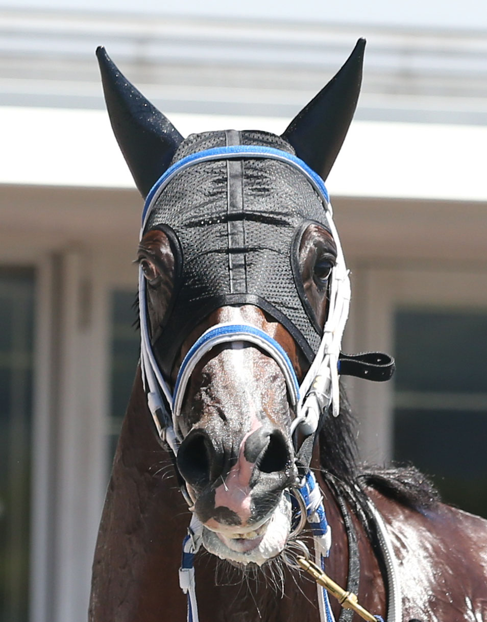 5R 2歳新馬　1着3番トレンシャリー（撮影・冨田成美）