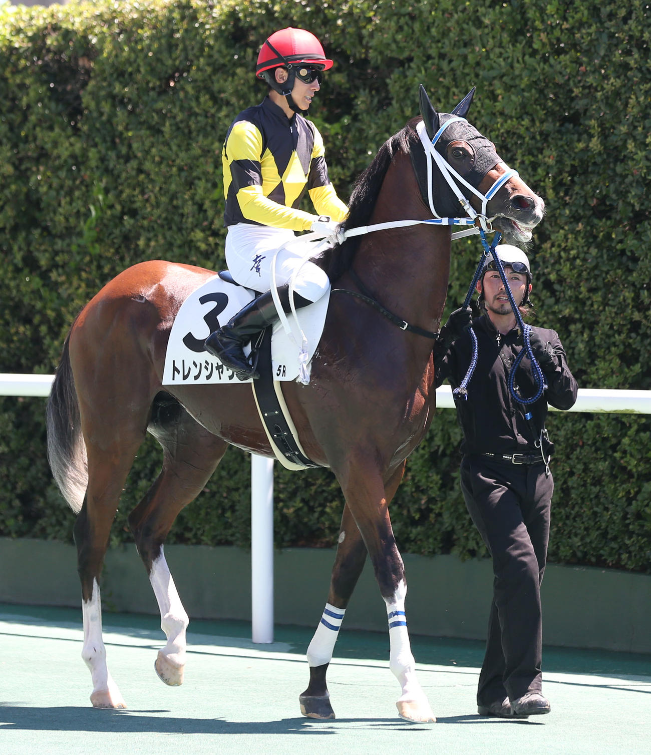 5R 2歳新馬　1着3番トレンシャリー（撮影・冨田成美）