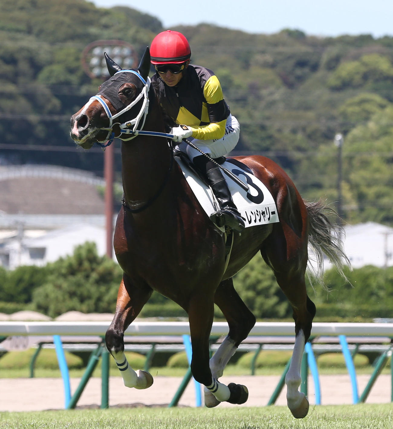 5R 2歳新馬　1着3番トレンシャリー（撮影・冨田成美）