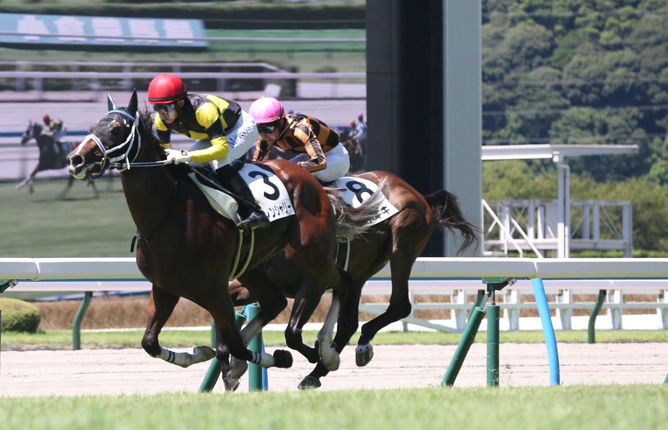 5R 2歳新馬　1着3番トレンシャリー（左）と幸騎手は2歳新馬を制す（撮影・冨田成美）