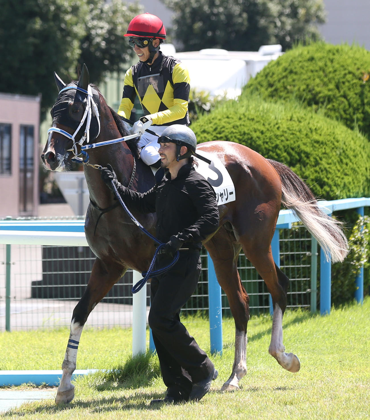 5R 2歳新馬　1着3番トレンシャリー（撮影・冨田成美）