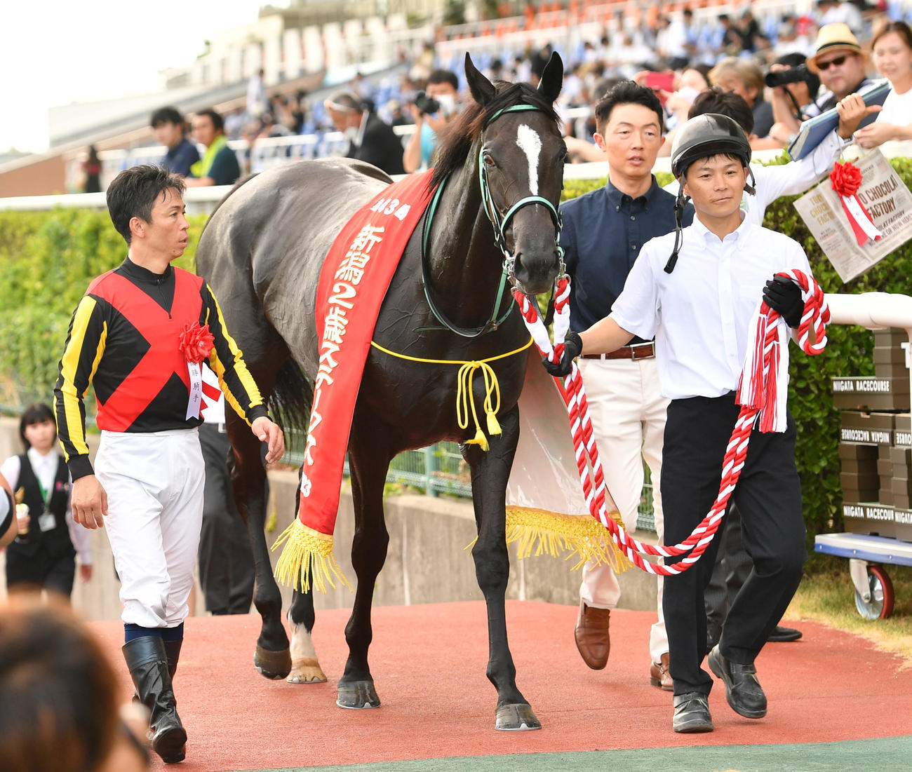 新潟2歳Sを制したアスコリピチェーノと北村宏騎手（撮影・柴田隆二）