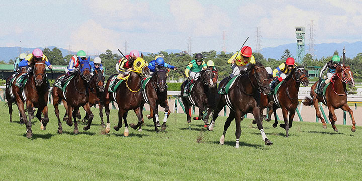 馬場の中央を伸びて新潟記念を制したカラテと菅原明騎手（撮影・丹羽敏通）＝2022年9月4日、新潟競馬場