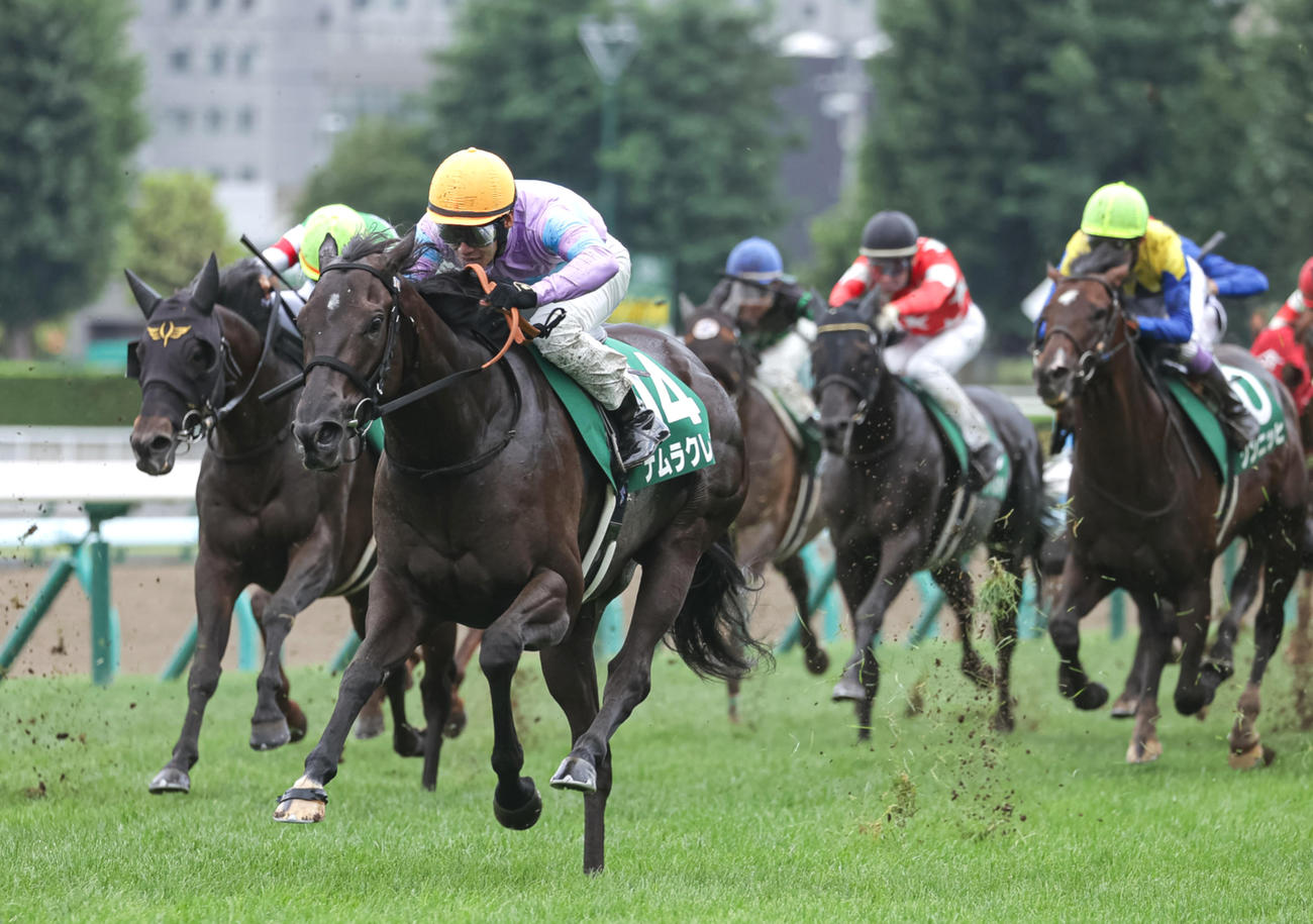 キーンランドCを制したナムラクレアと浜中騎手（撮影・村野早祐）