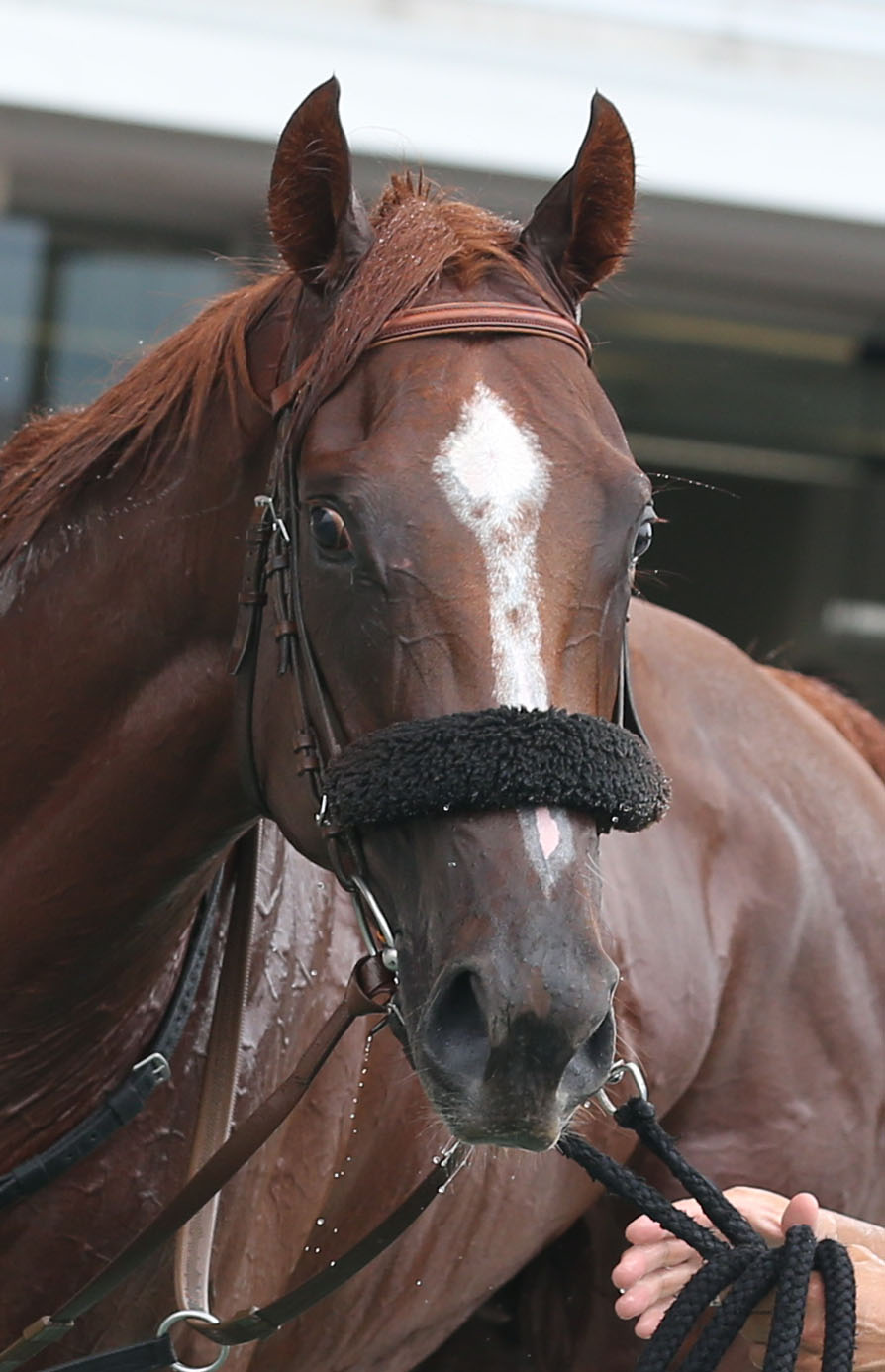小倉新馬戦を制したパッシングシャワー（2023年8月13日撮影）