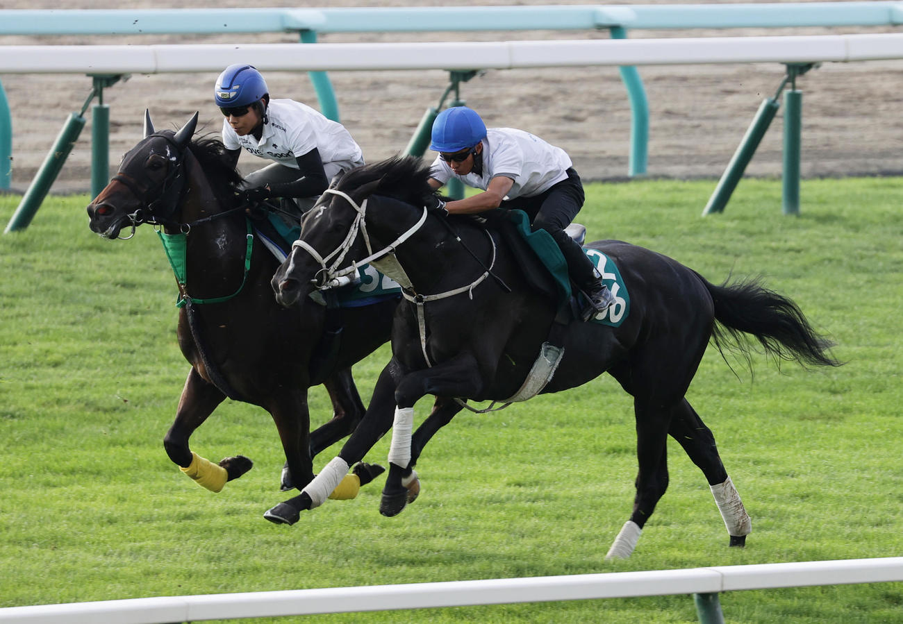 8月24日、併せ馬で追い切られるギャンブルルーム（右）