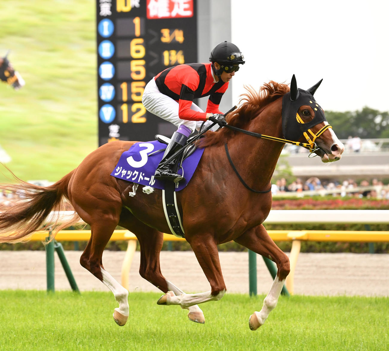 ジャックドール（2023年6月4日撮影）