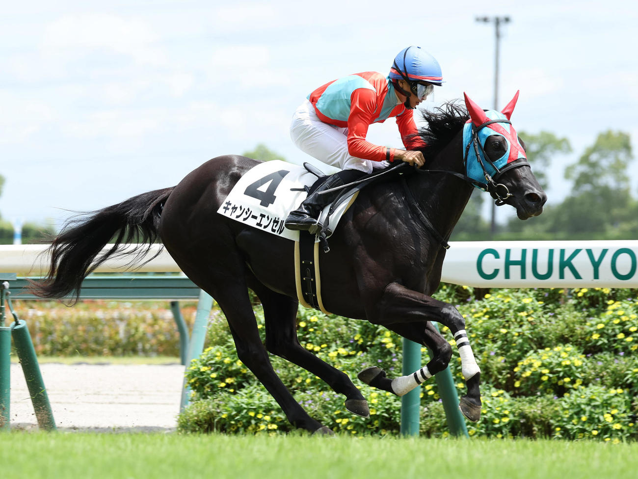 7月15日、中京6R　直線抜け出して新馬戦を制したキャンシーエンゼル