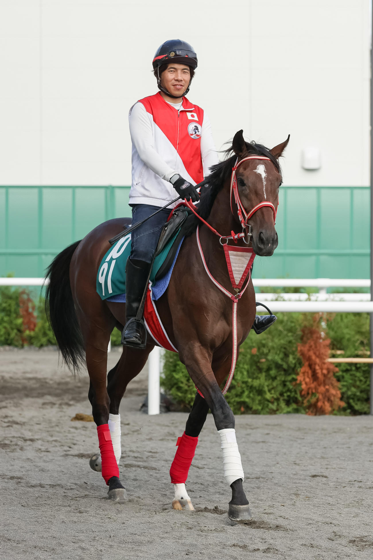 デビューに向け調整されるアスロス（撮影・村野早祐）