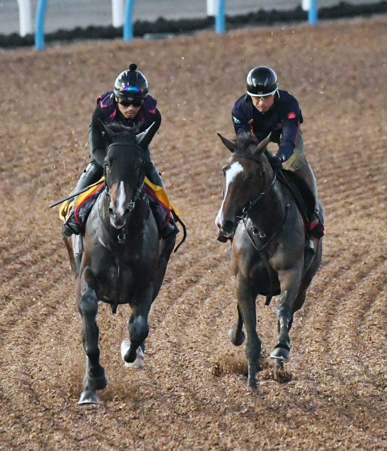 ヒップホップソウル（右）はレガトゥスと併せて追い切る（撮影・柴田隆二）